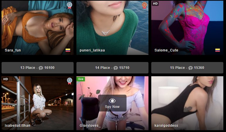 StripChat website